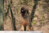 BRIARD 036